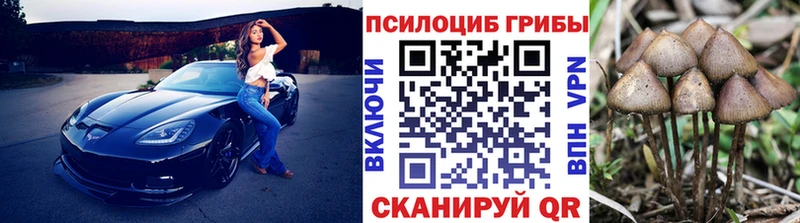 магазин продажи наркотиков  Олонец  гидра сайт  Галлюциногенные грибы Psilocybine cubensis 
